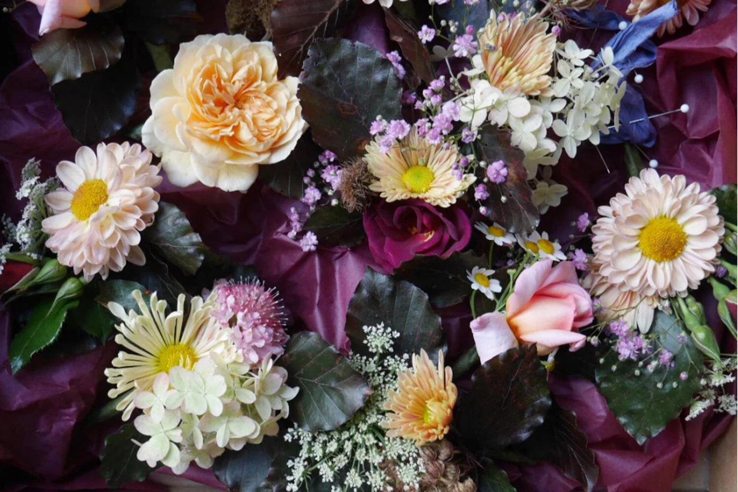 plum buttonholes.jpeg