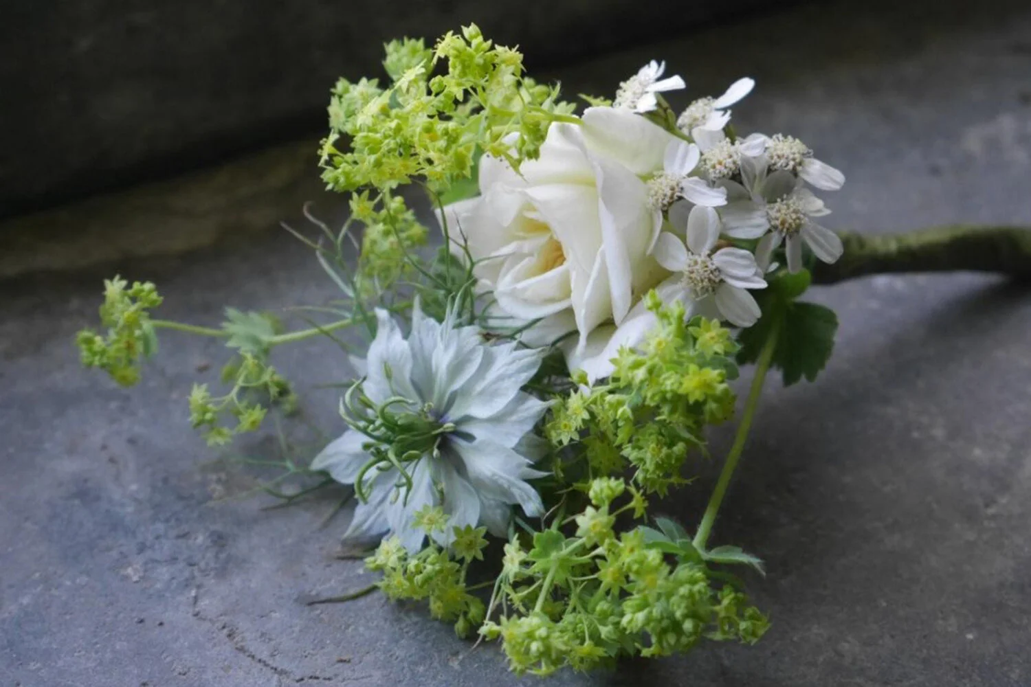 Miniature Buttonhole Roses