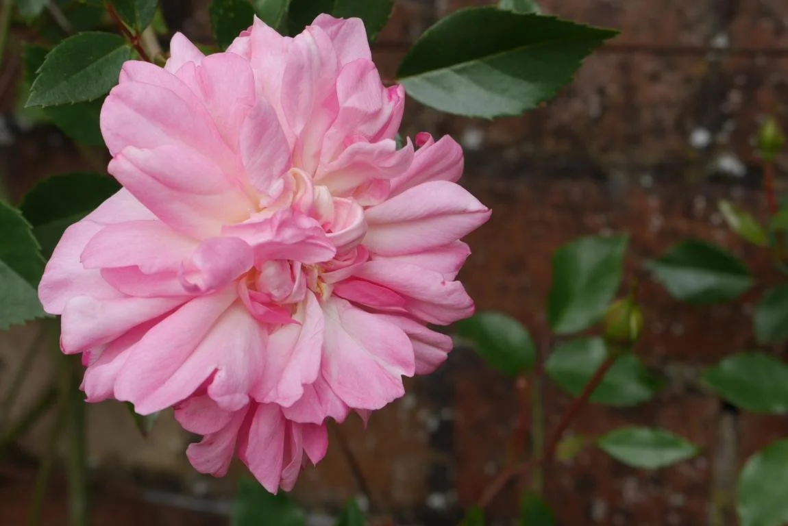 Start of a New Season