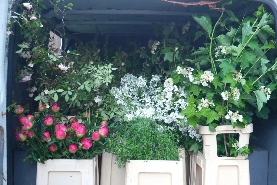 mini_P1380258 copy.JPG