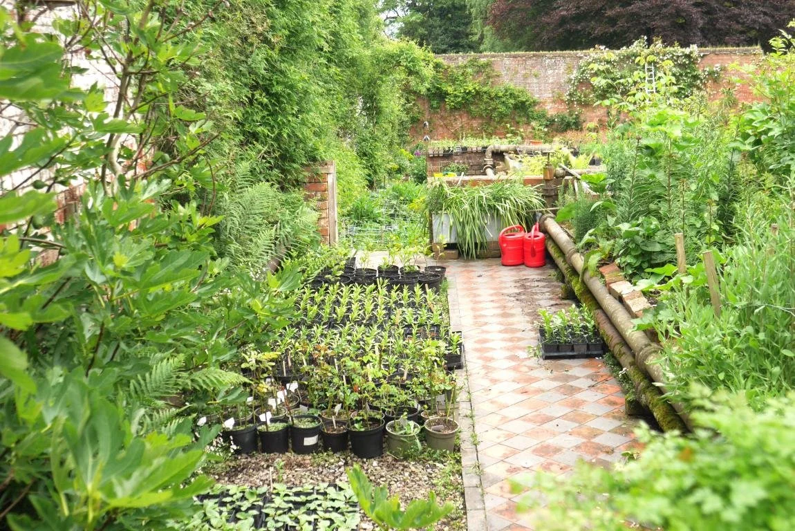 mini_P1380365 copy.JPG