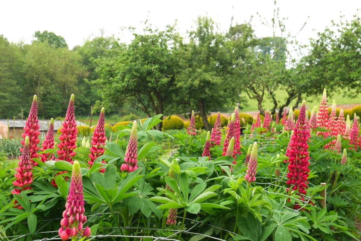 mini_P1380270 copy.JPG