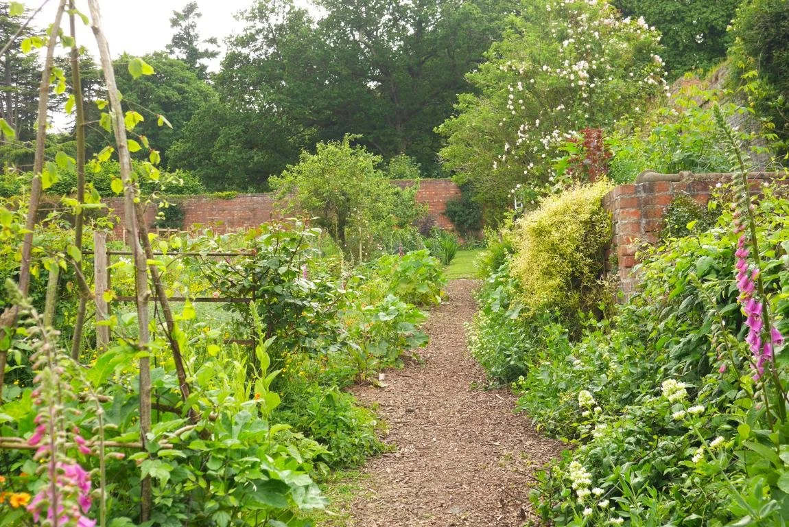 mini_P1380316 copy.JPG