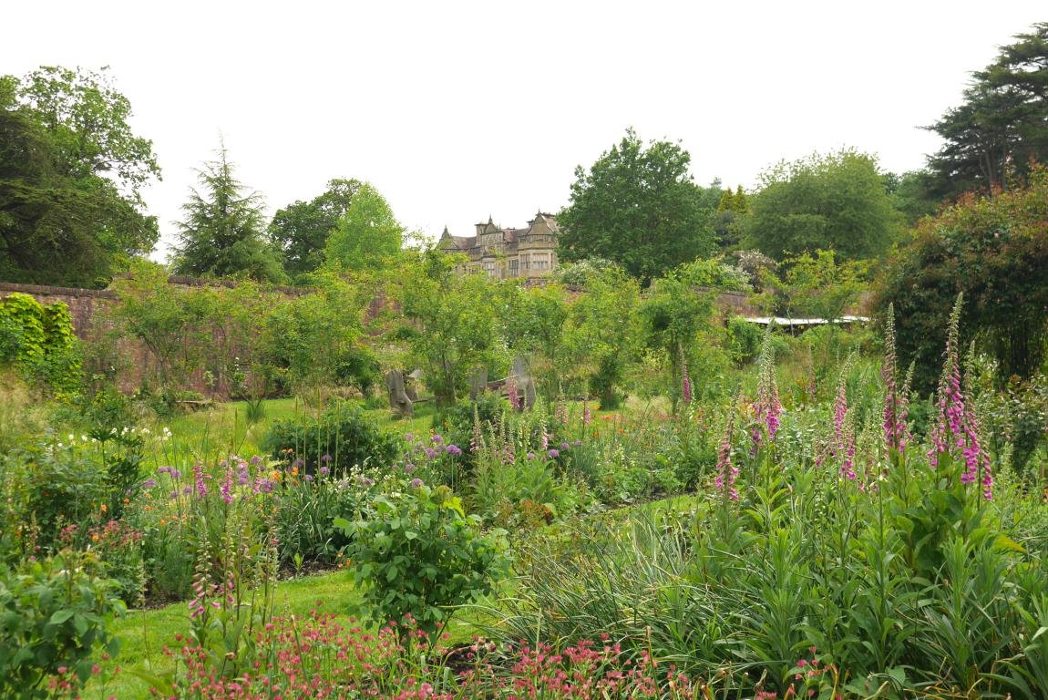 mini_P1380341 copy.JPG