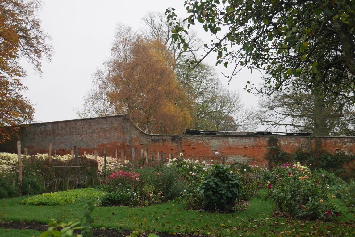 mini_P1410172.JPG
