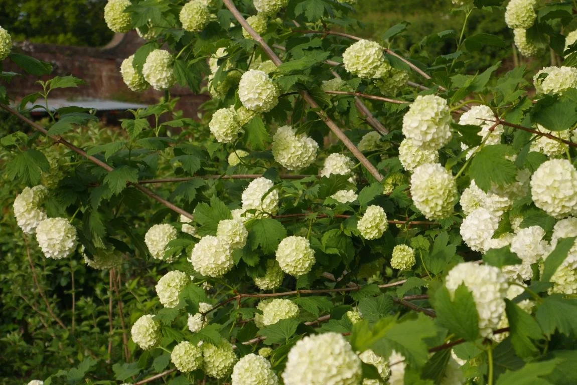mini_P1410982.JPG