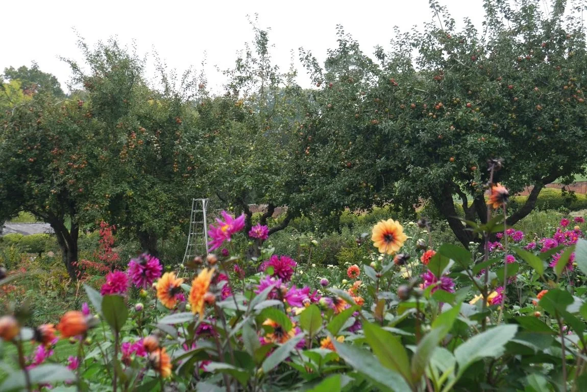 mini_P1460074 copy.JPG