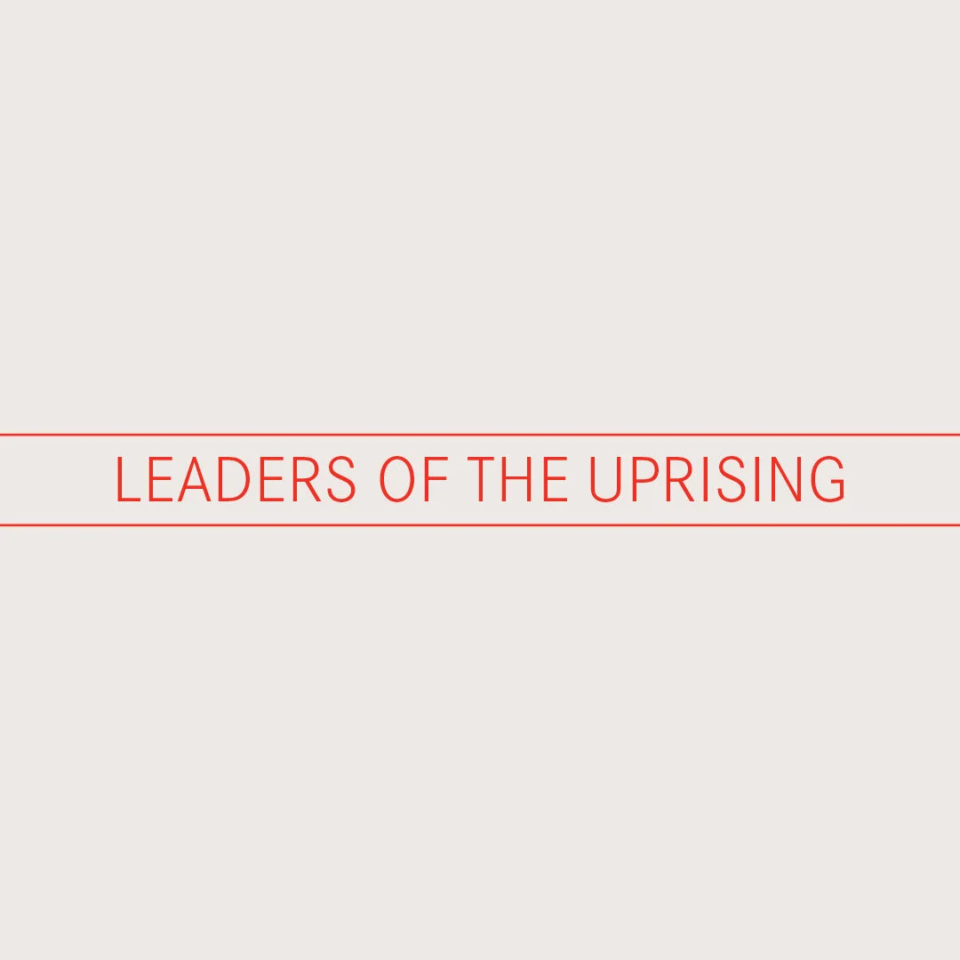 WGU-OnlineLabels-LARGE-leadersRED.jpg