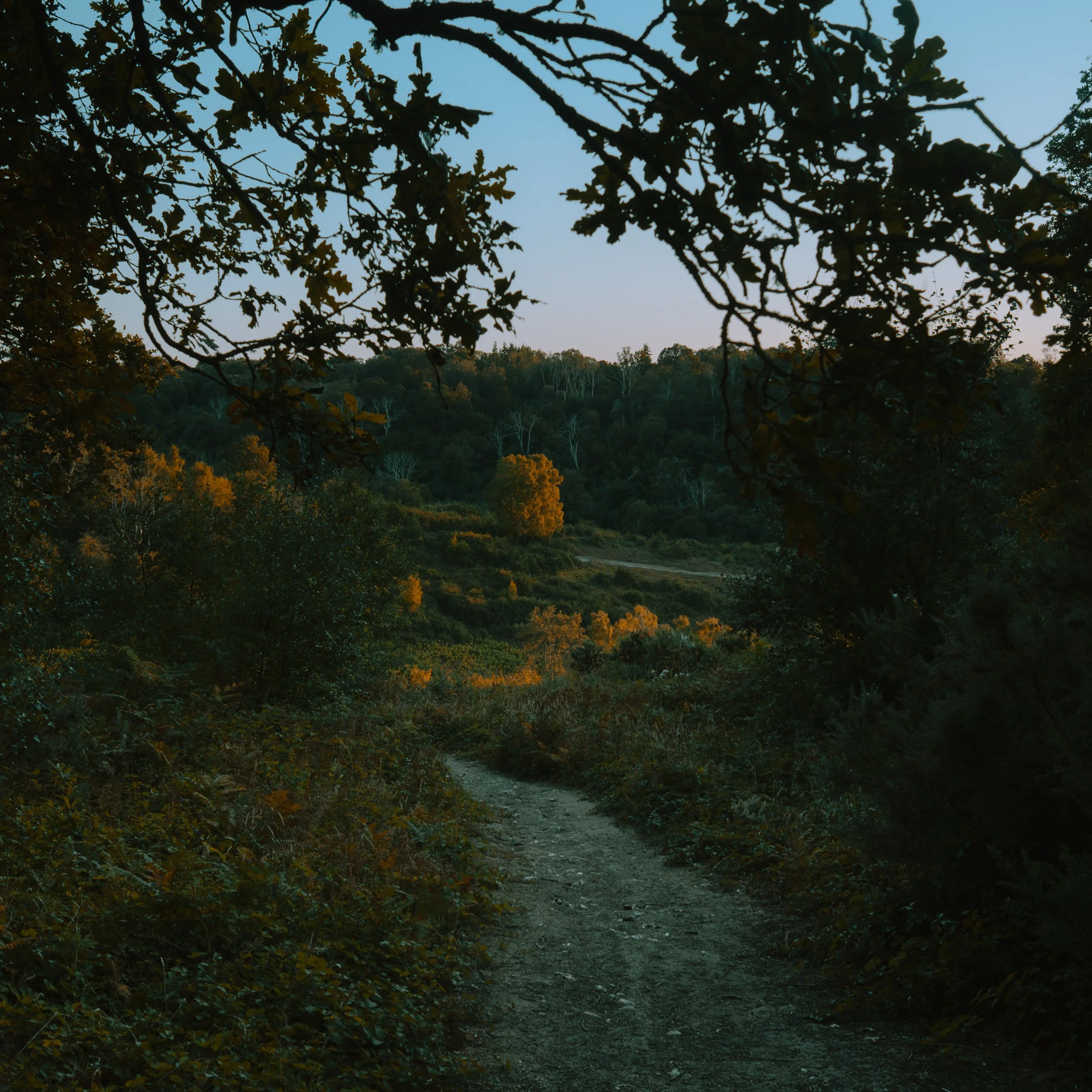 P1028817.jpg