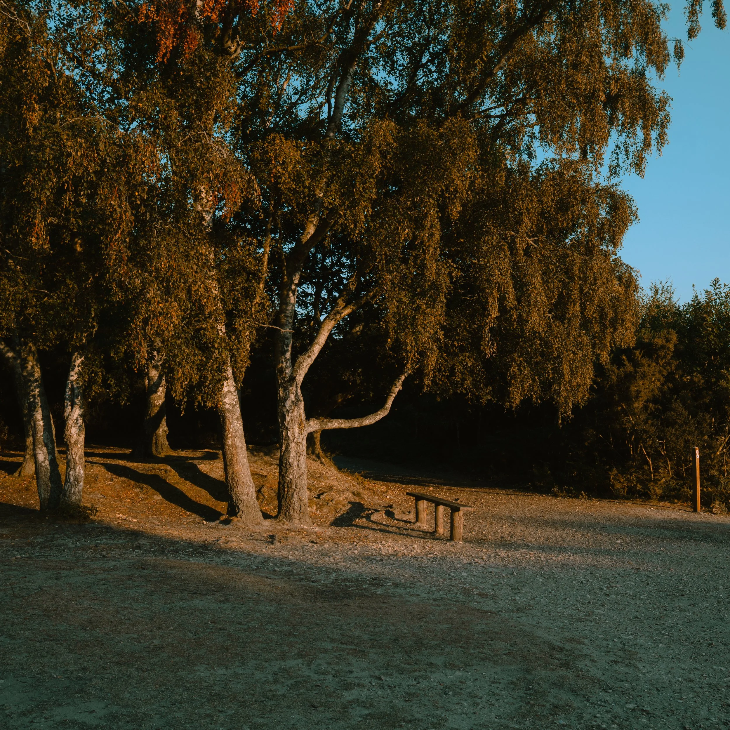 P1028810.jpg