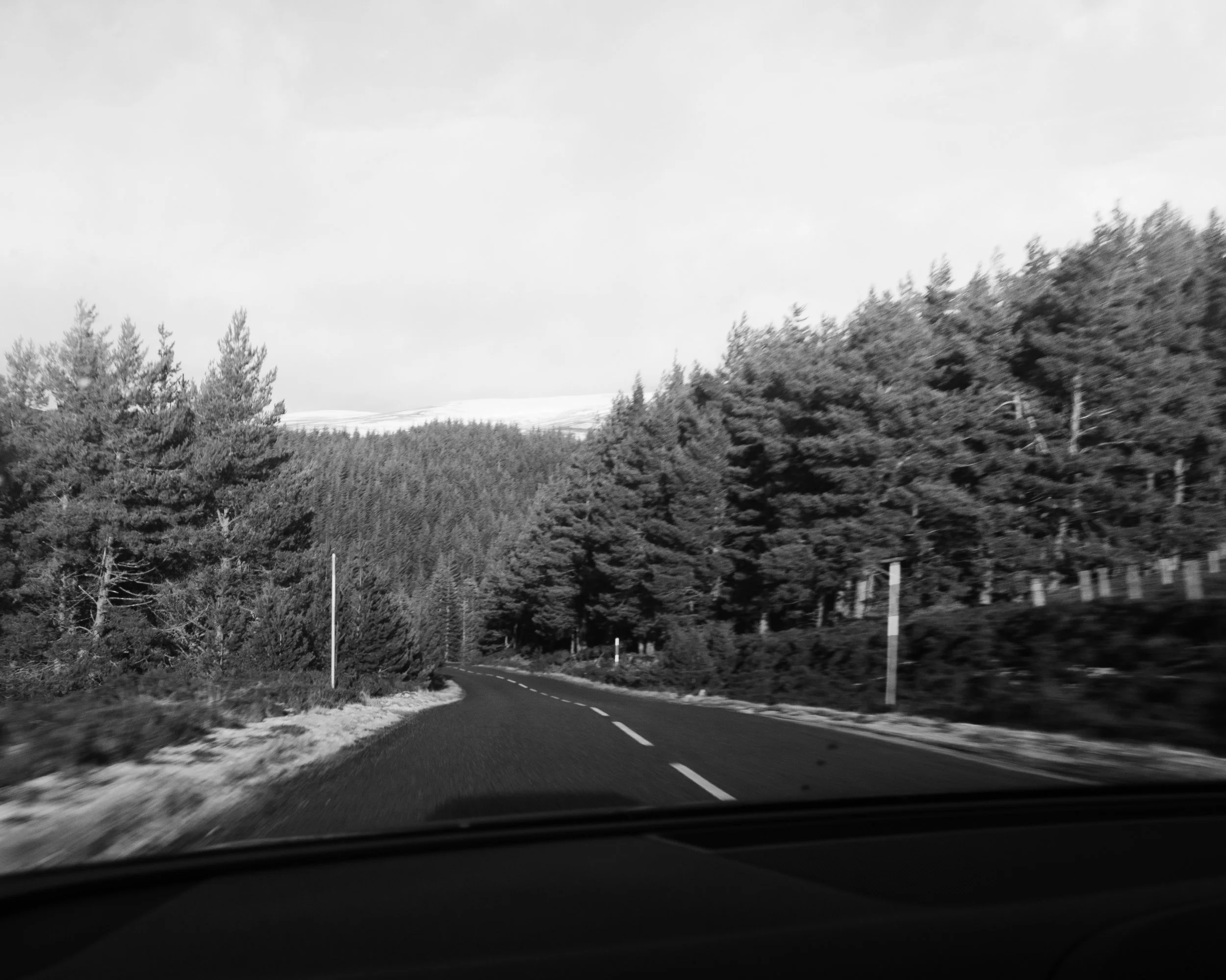 P1555415-2.jpg