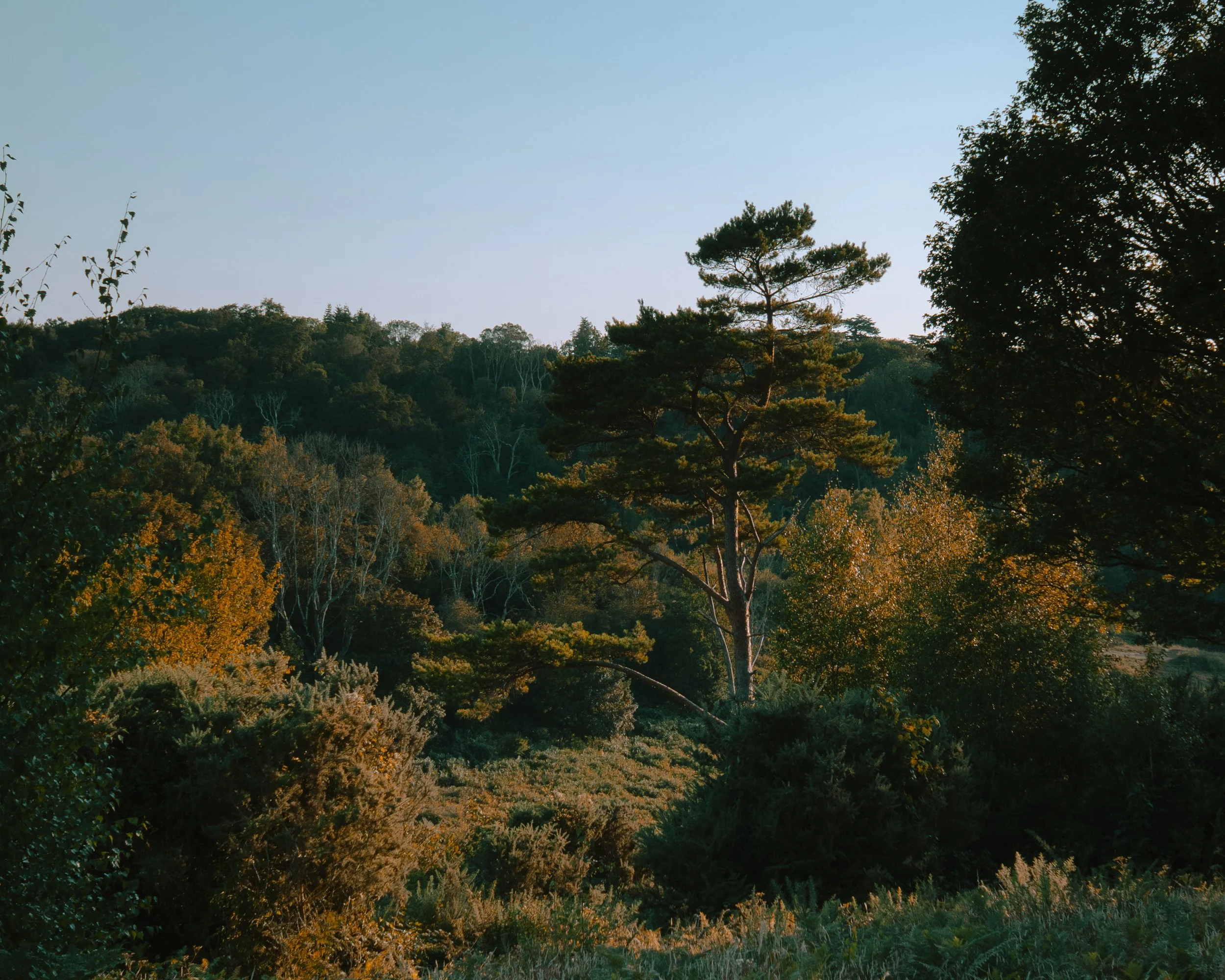 P1028806-2.jpg