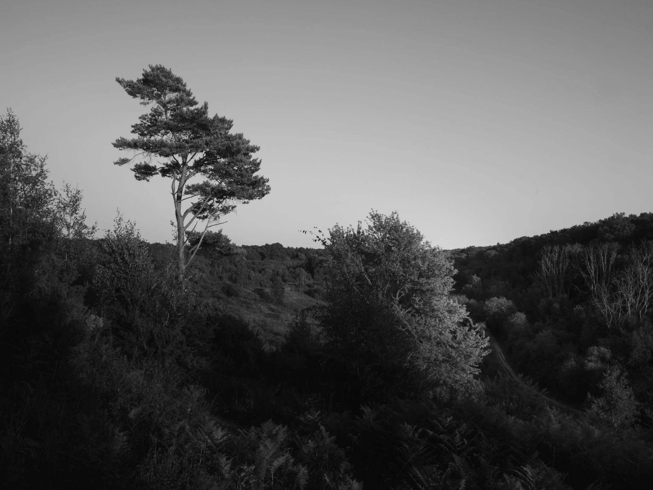 P1028824.jpg