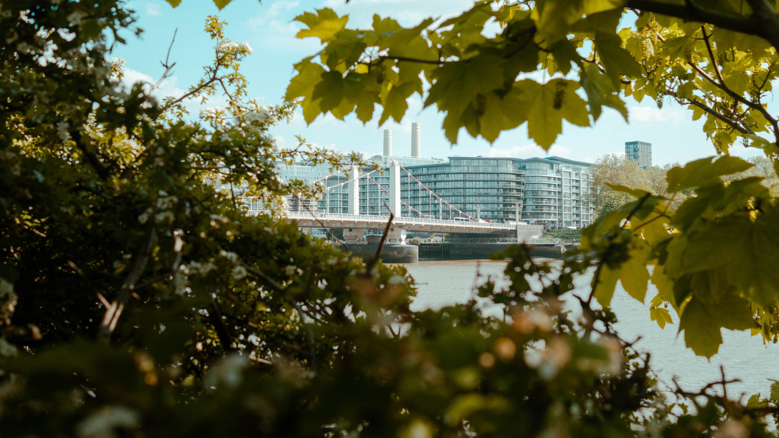 P1026529-2.jpg
