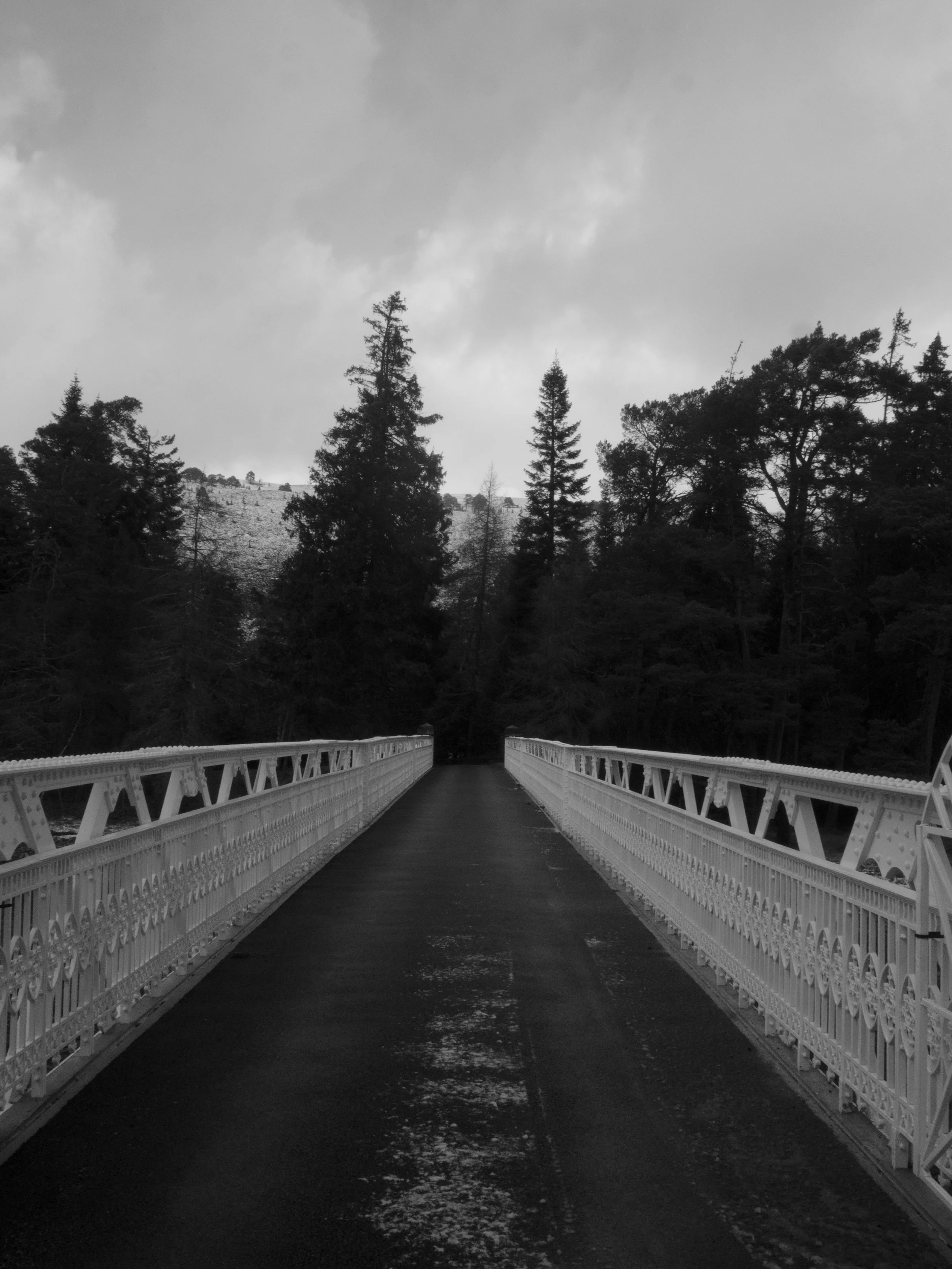 P1544687.jpg