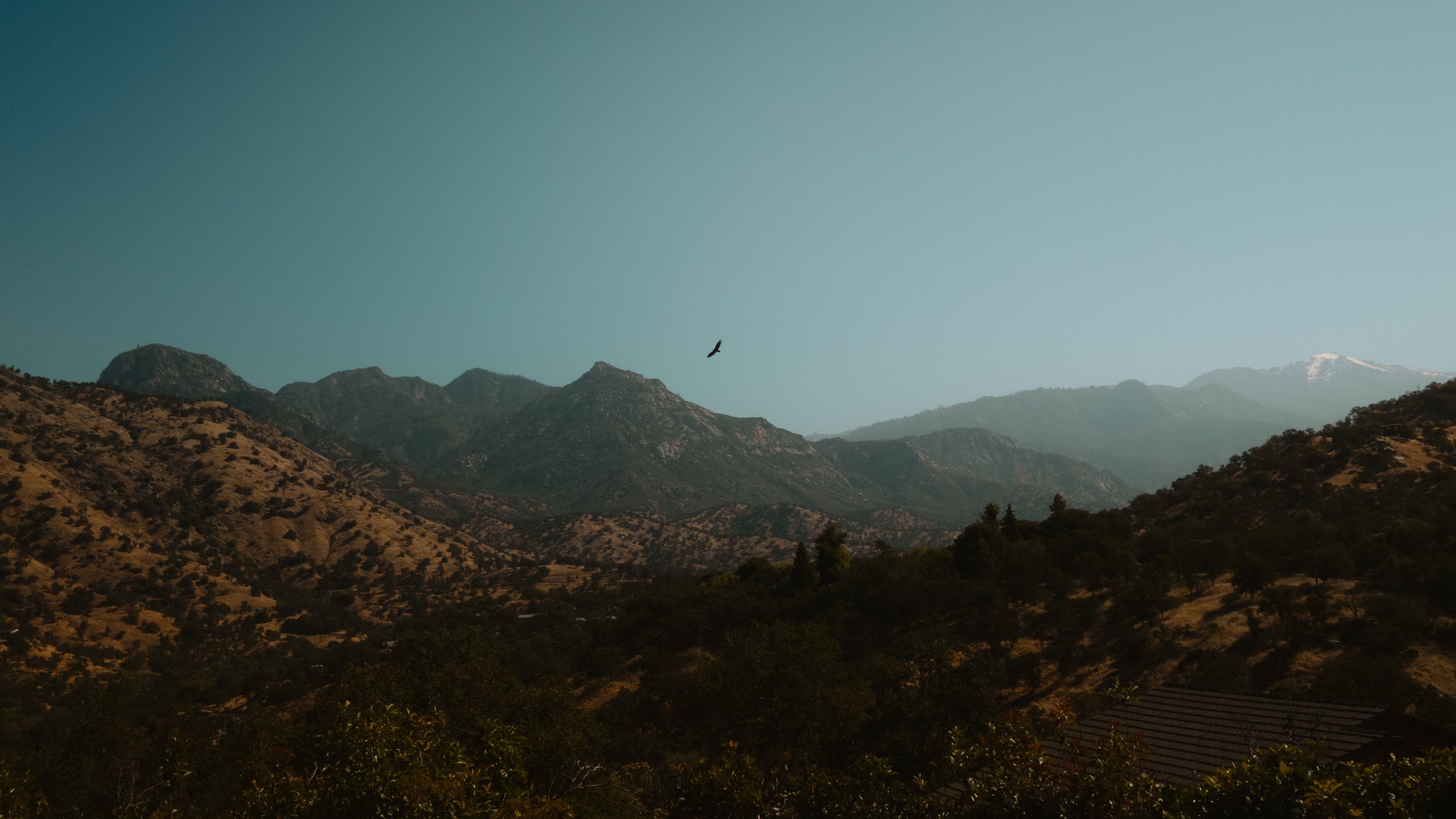 P1020292.jpg