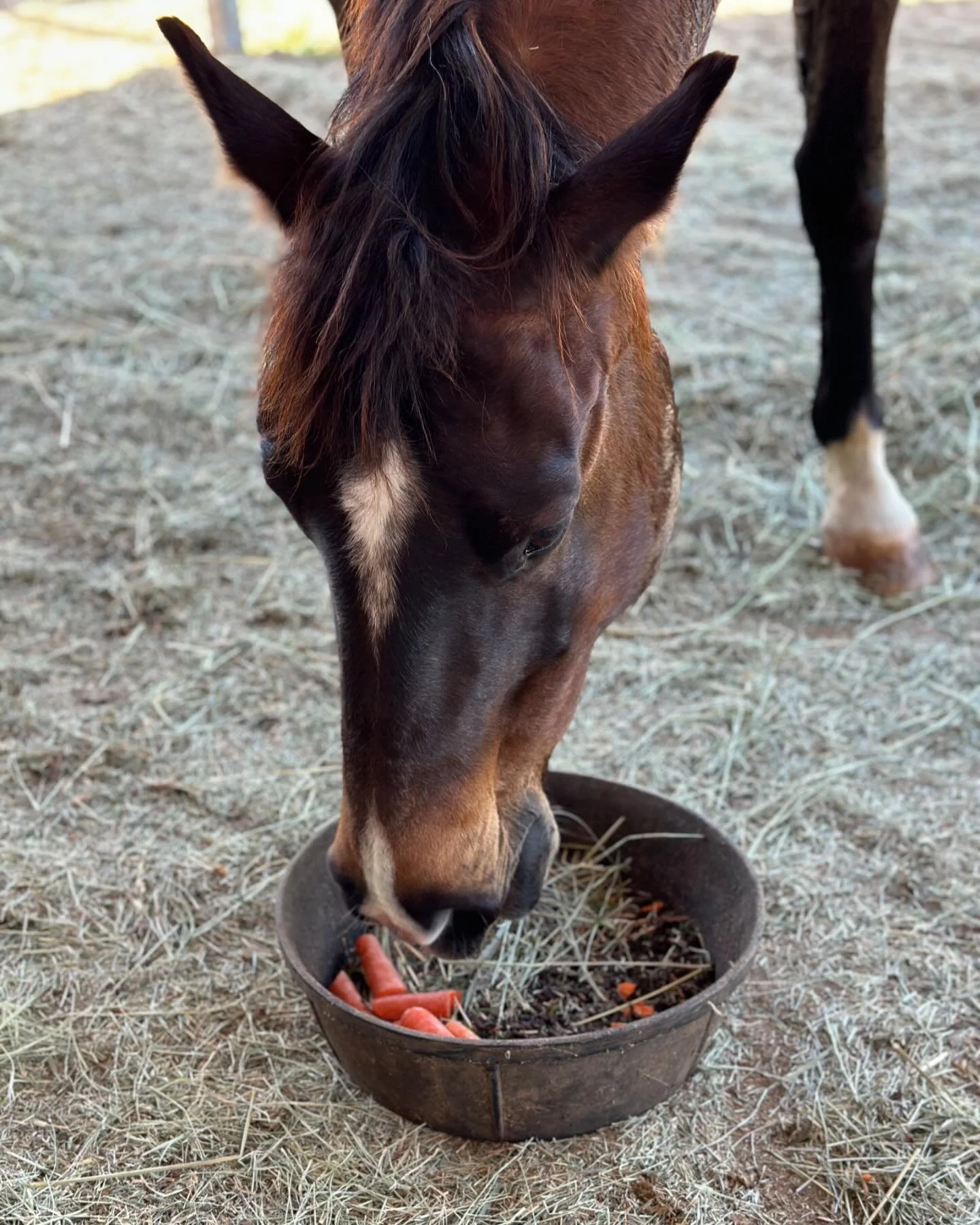 Happy 15th birthday Remi! You are such a special boy ❤️❤️