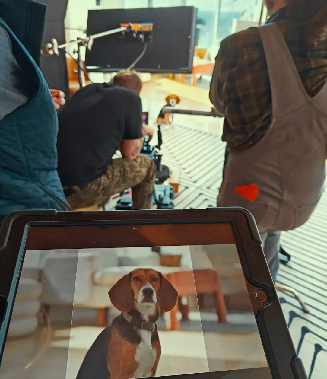 DOG BTS.webp