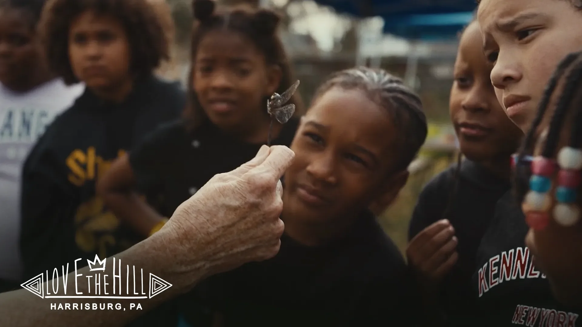 The Hill Farm (Wildheart) | Fundraising Film