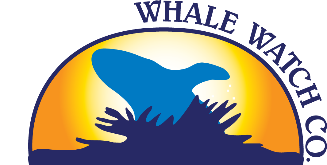 Bar Harbor Whale Watch Company