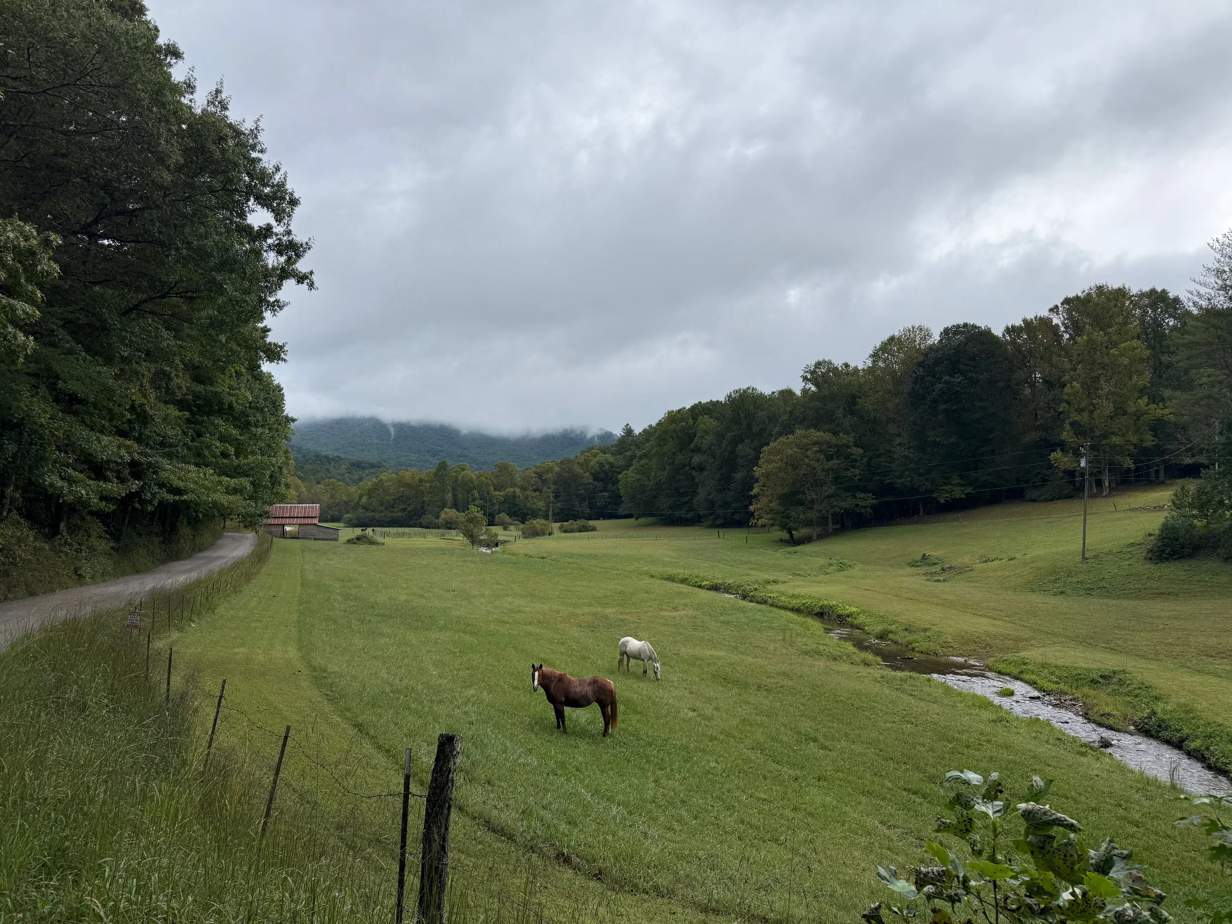IMG_0956.jpeg