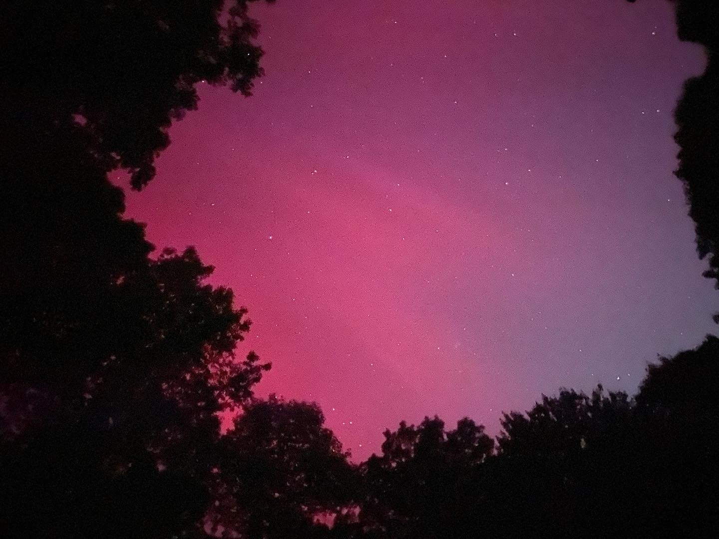 Aurora right here in Ellijay, very cool.