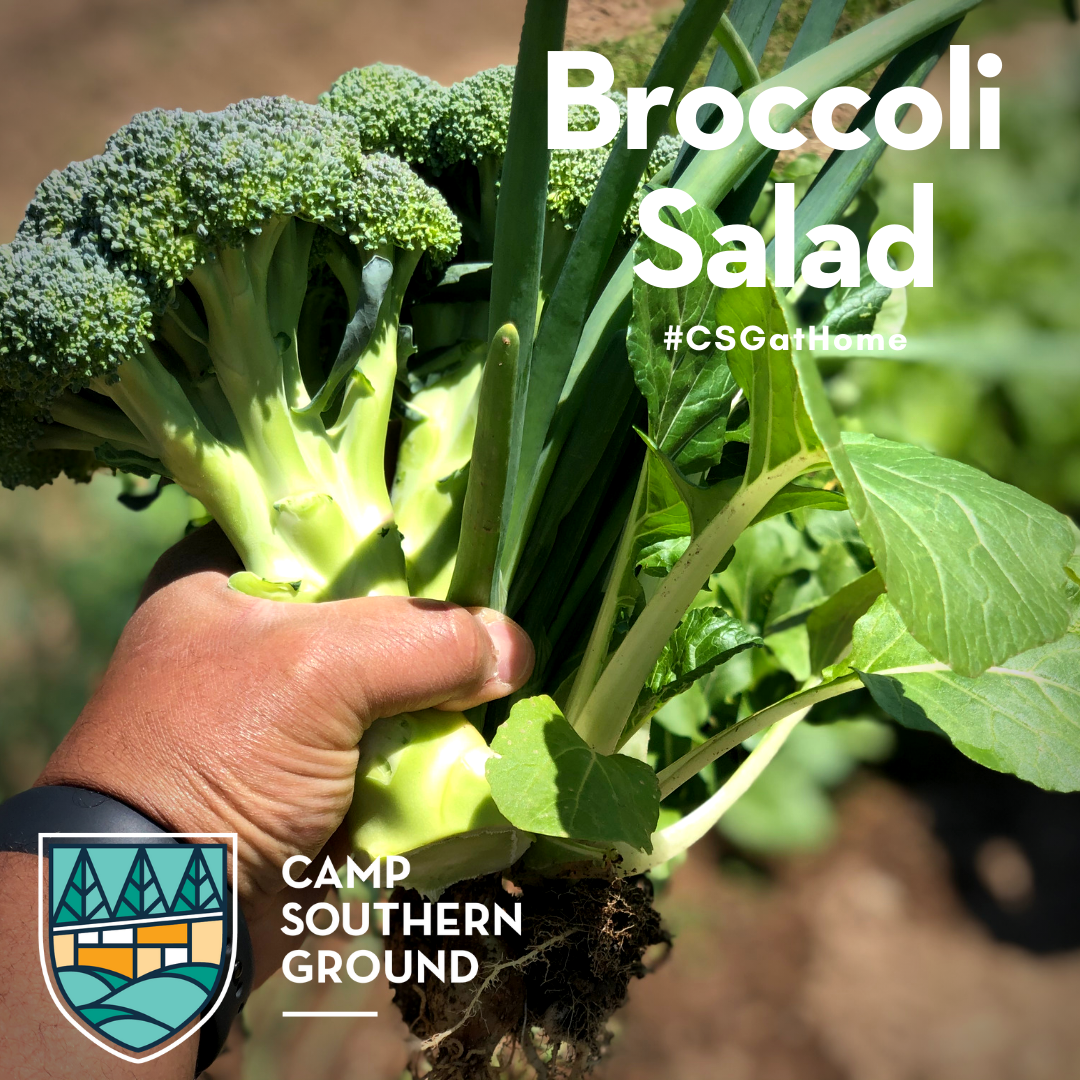 Cooking with Collins - Broccoli Salad