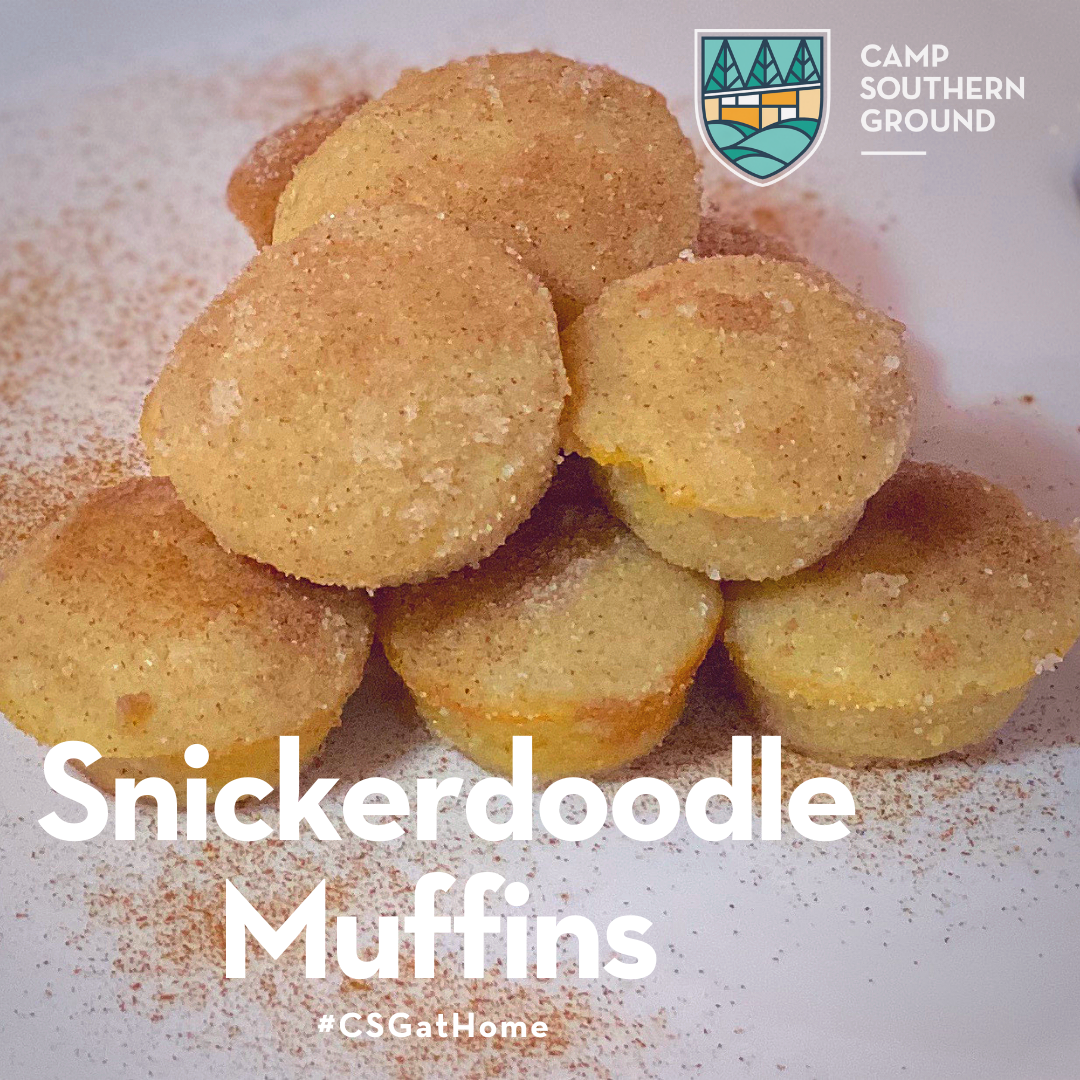 Cooking with Collins - Snickerdoodle muffins