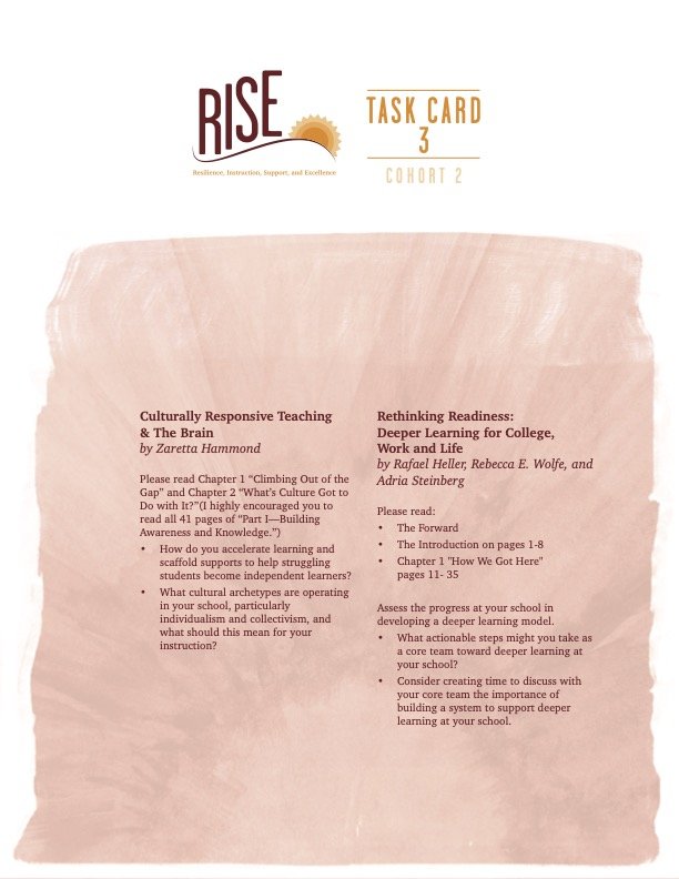 RISE Task Card 3 (Cohort 2) PDF