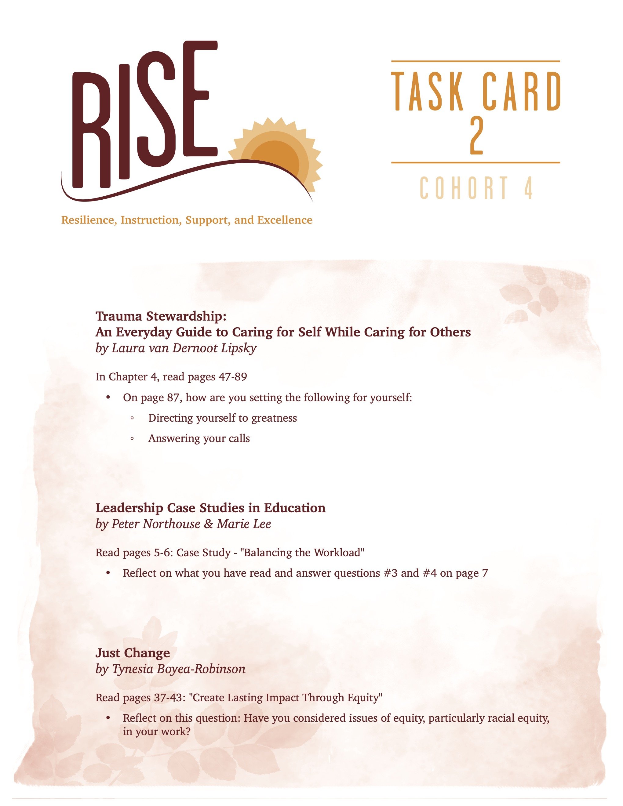 RISE Task Card 2 Cohort 4 2023-2024 (PDF)