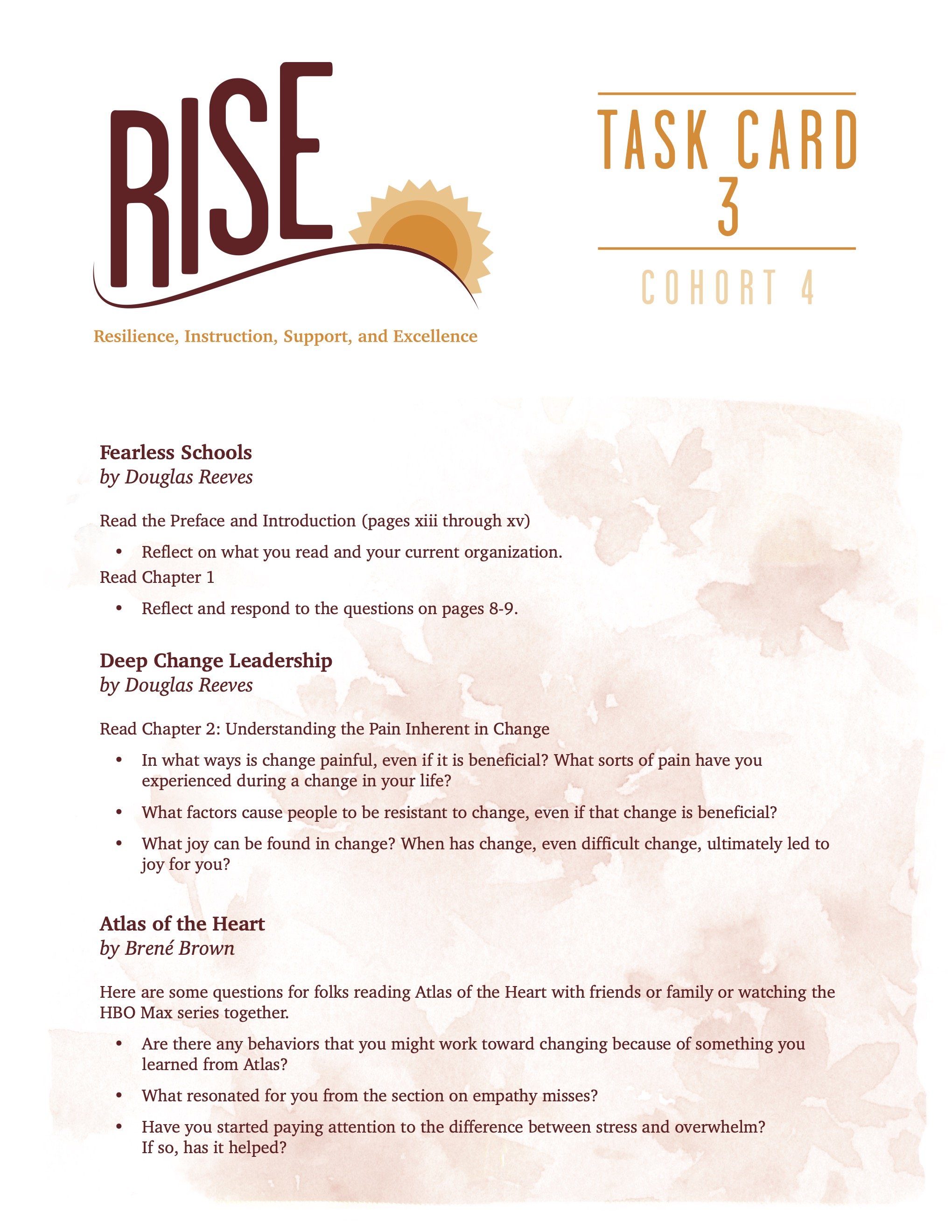 RISE Task Card 3 Cohort 4 2023-24 (PDF)