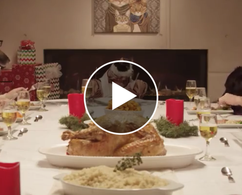 Thanksgiving's gone to the dogs.