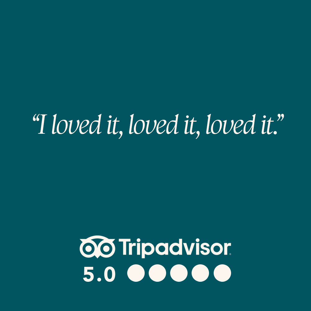 Tripadvisor review 8