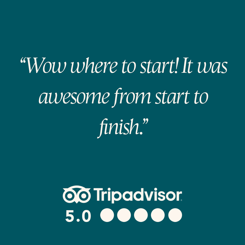 Tripadvisor review 5