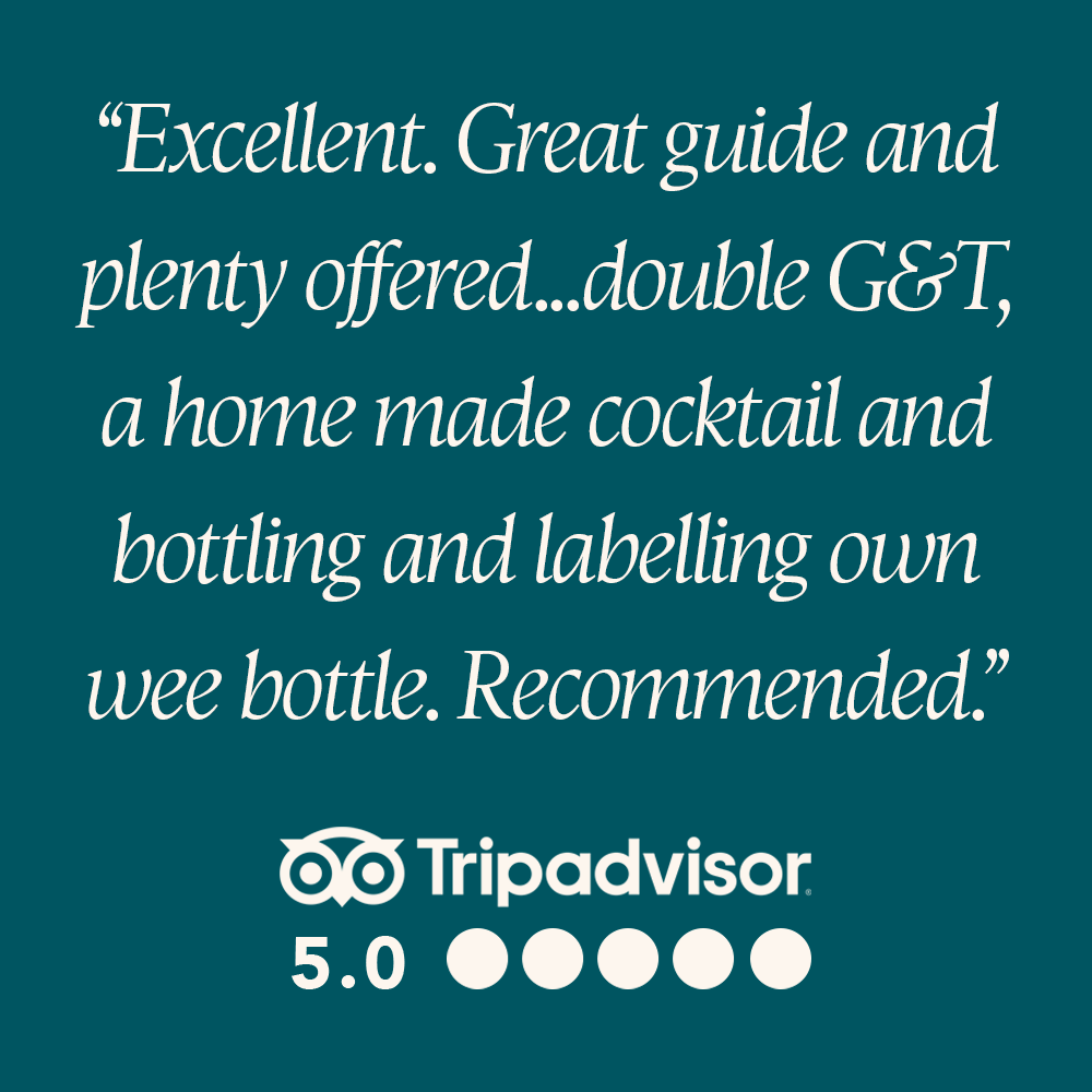 Tripadvisor review 9