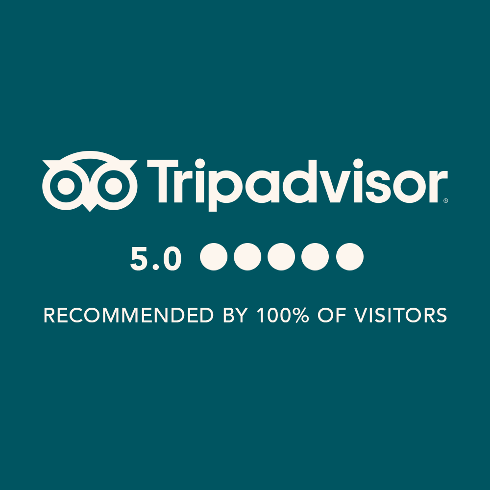 Tripadvisor review 1