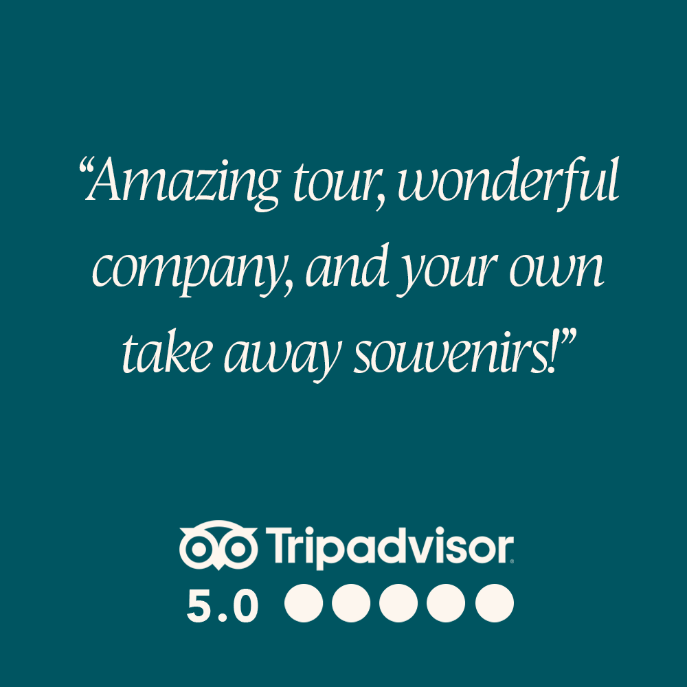 Tripadvisor review 2