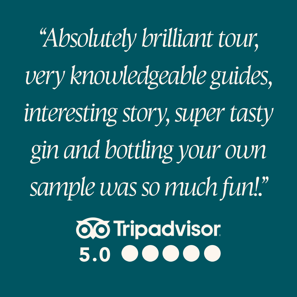 Tripadvisor review 7