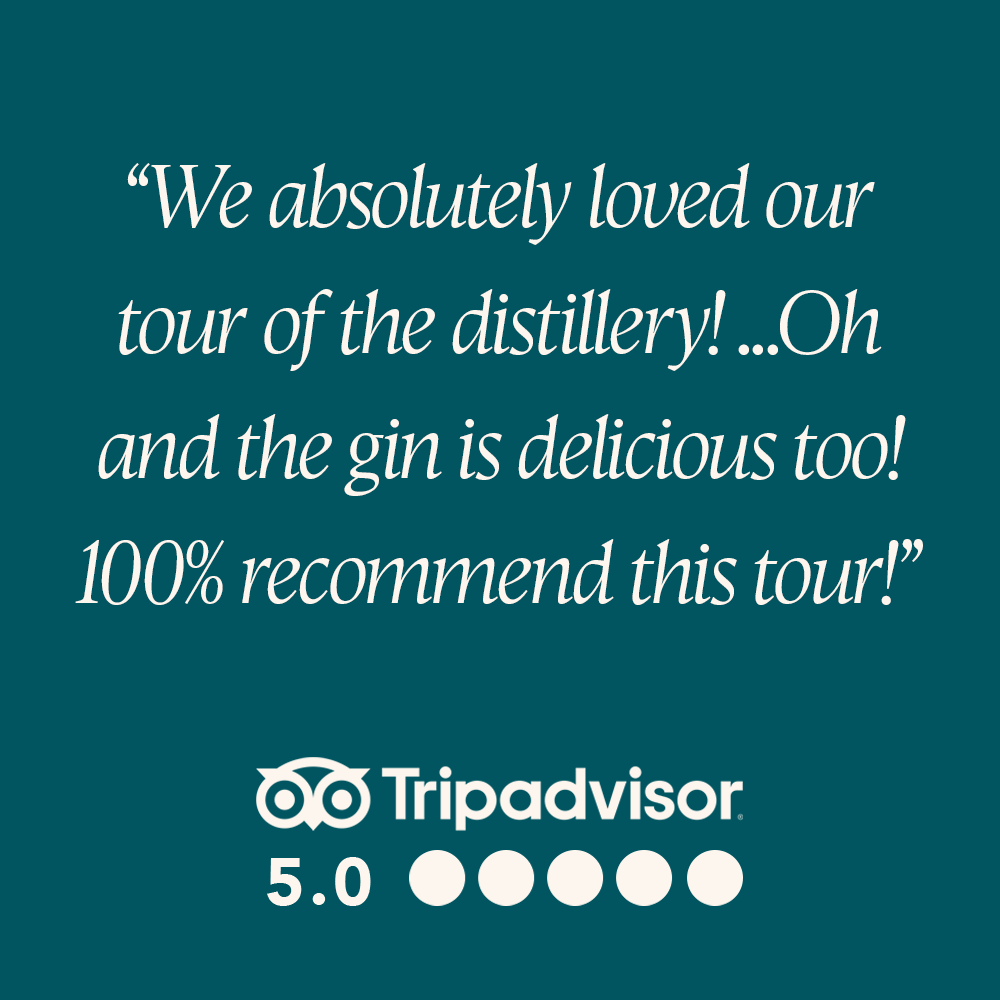 Tripadvisor review 4
