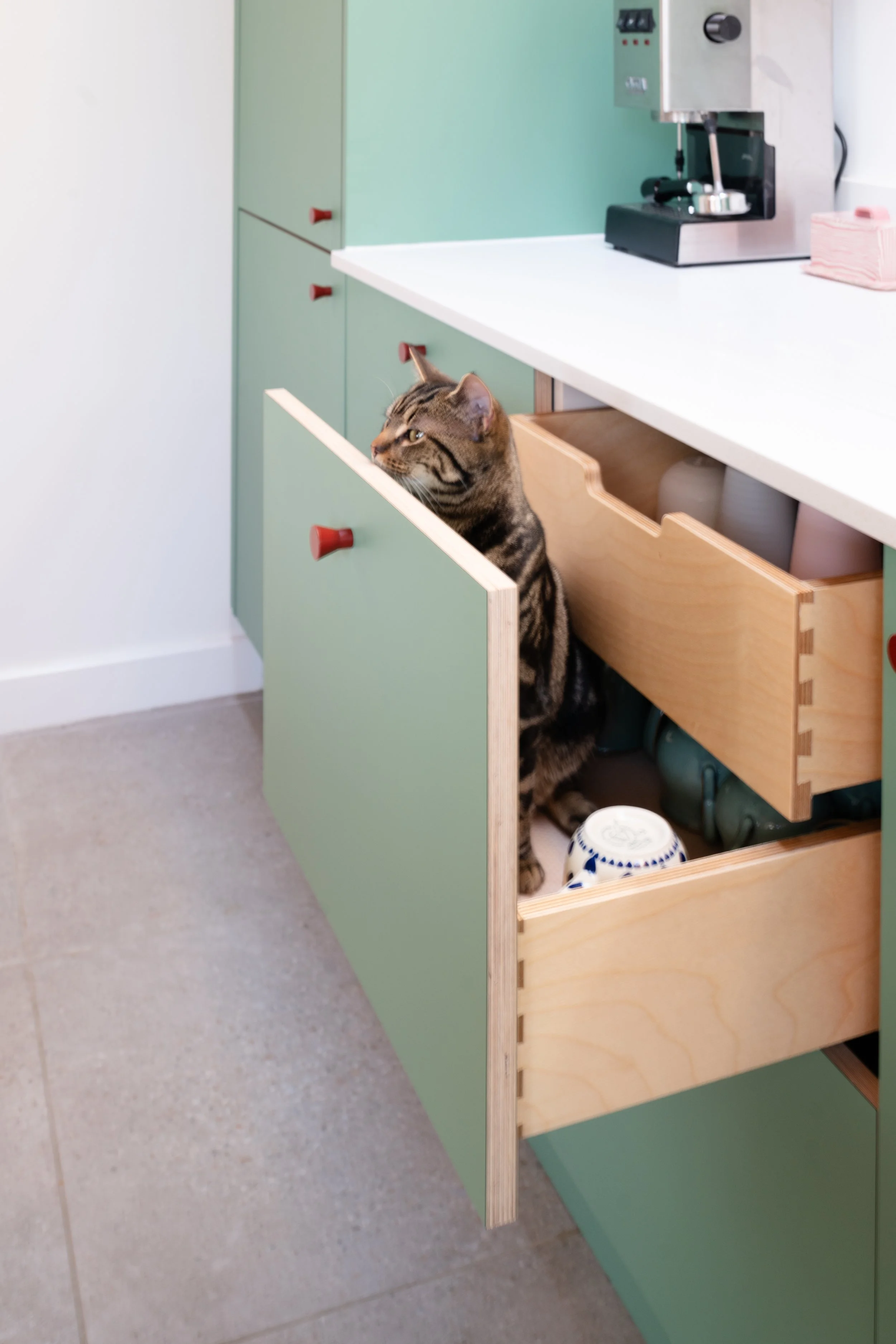 Long D (31 of 41).jpg