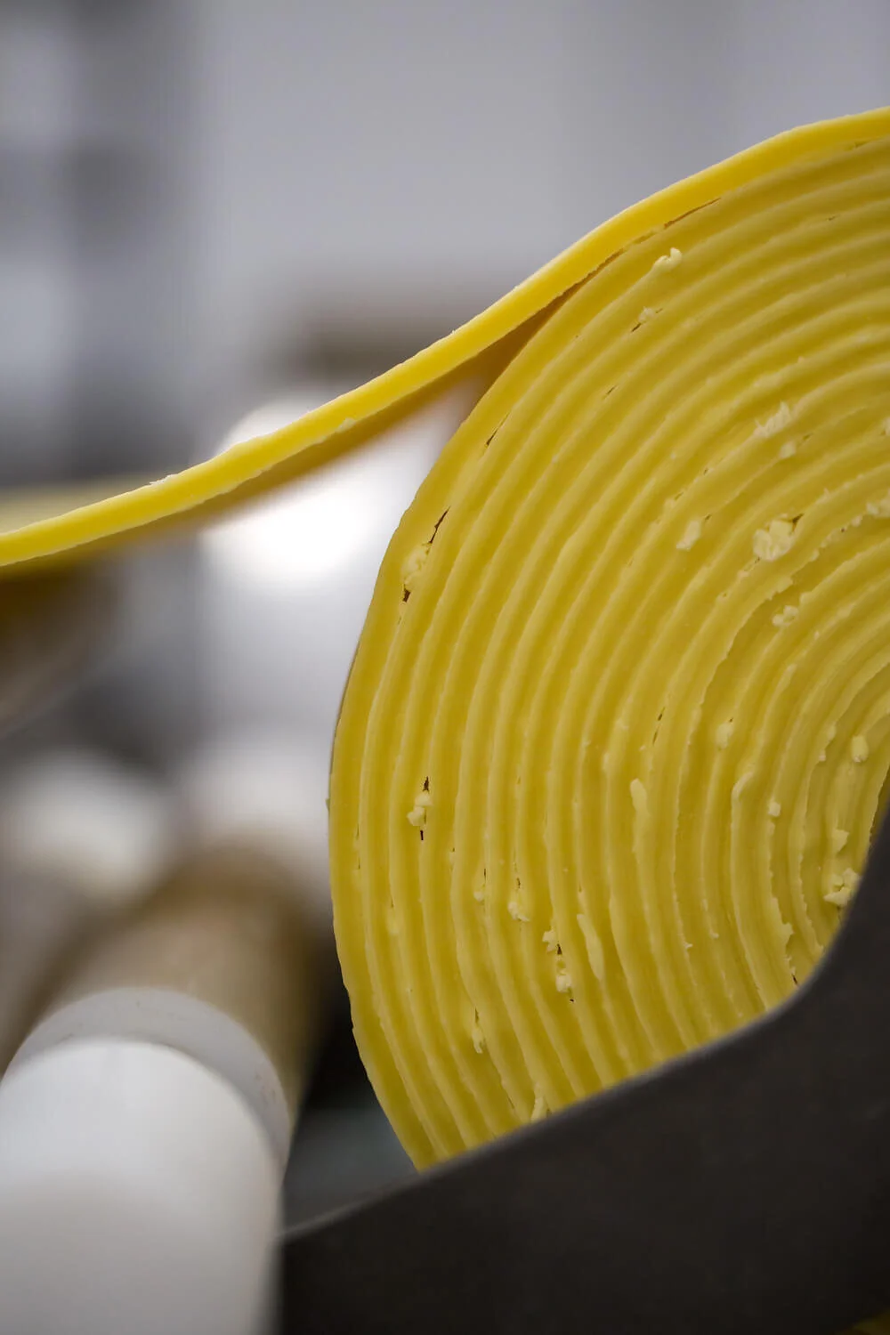 pasta-wheel.jpg