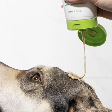 shampoo.png