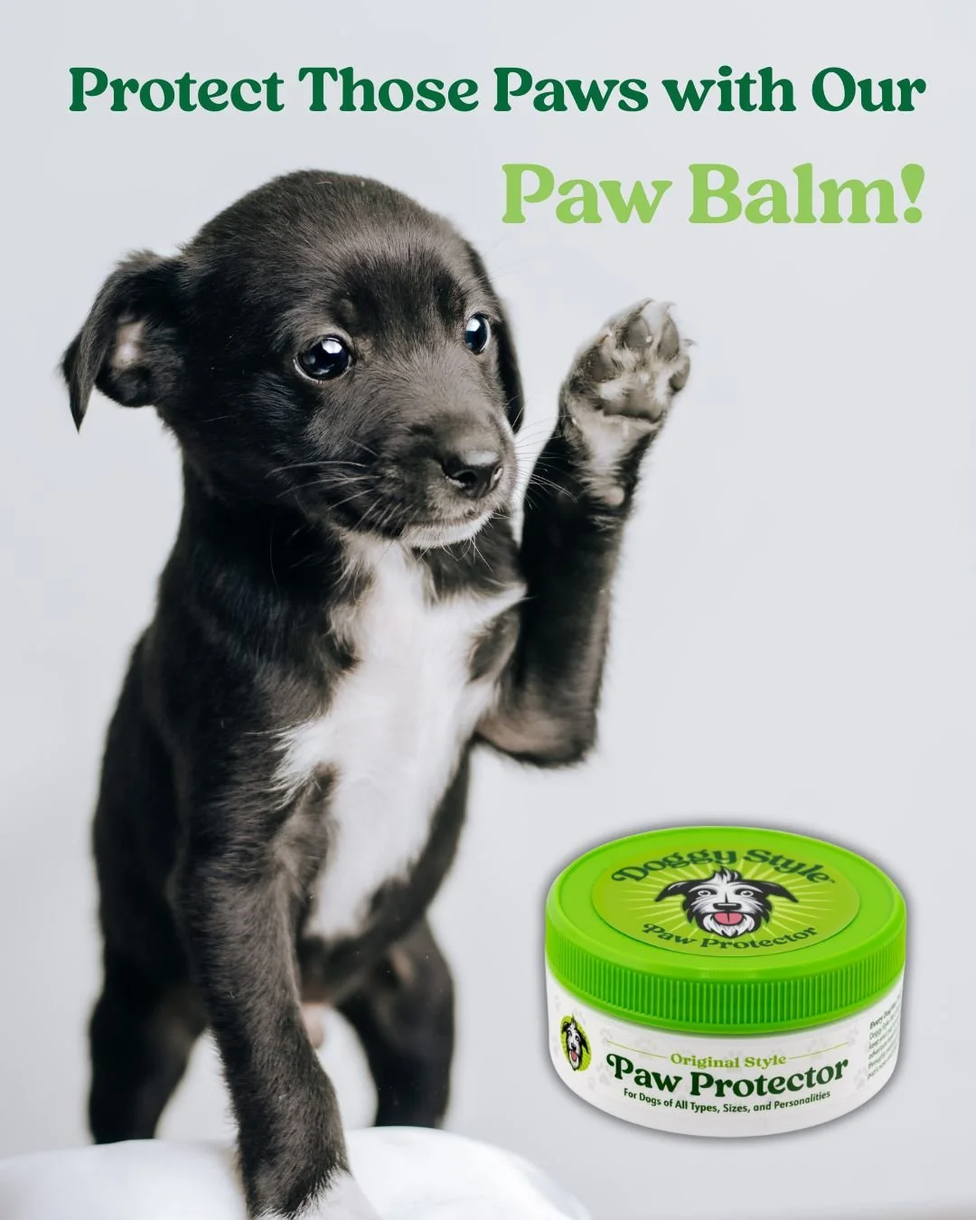 Paw Protector Balm.jpg