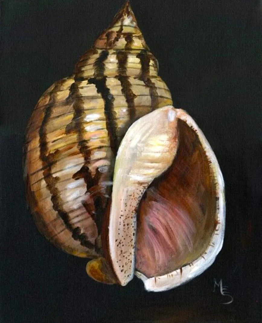 Painting of two large seashells with dark stripes on a black background.