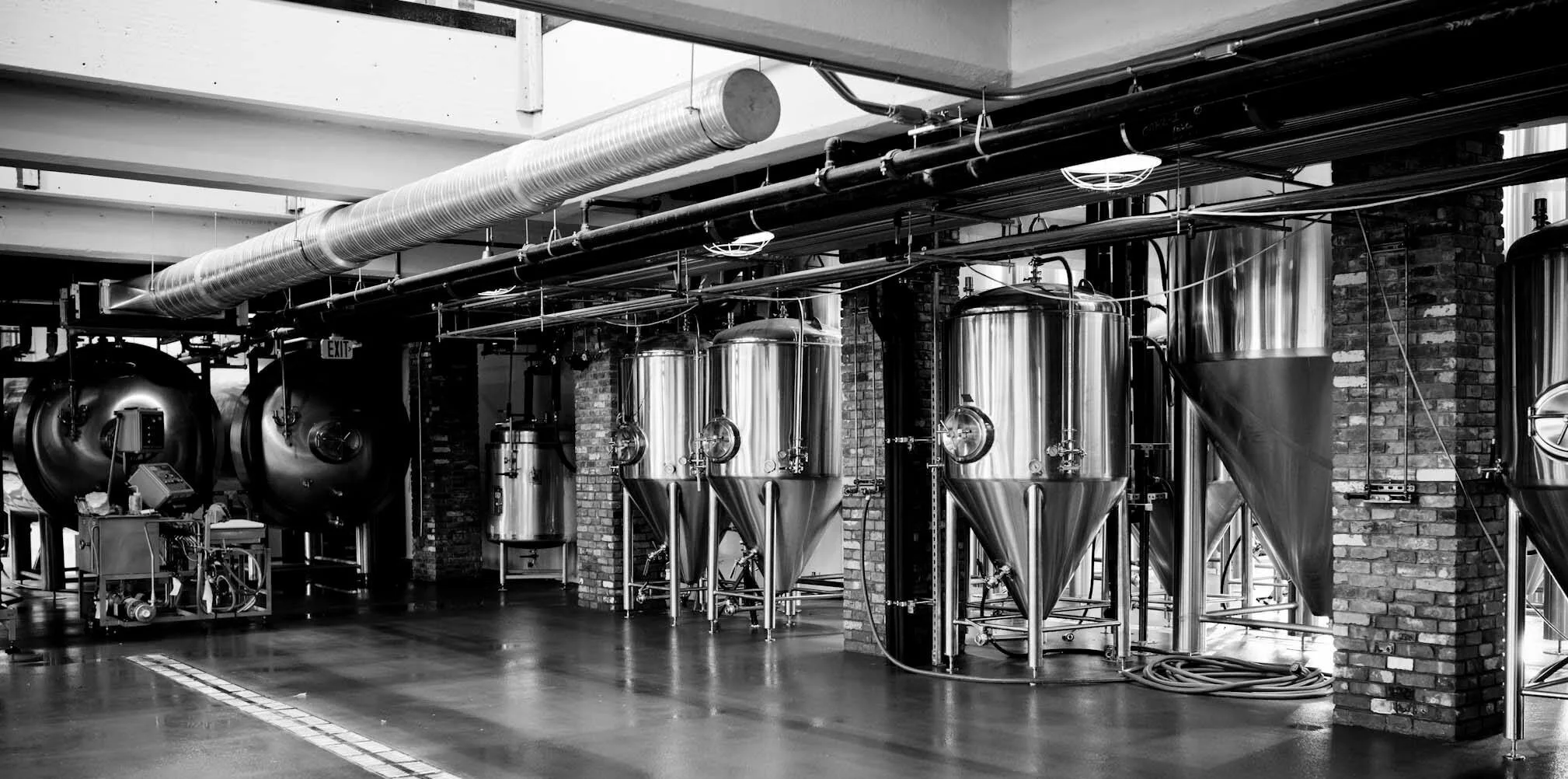 Frog Alley Brewing Co.