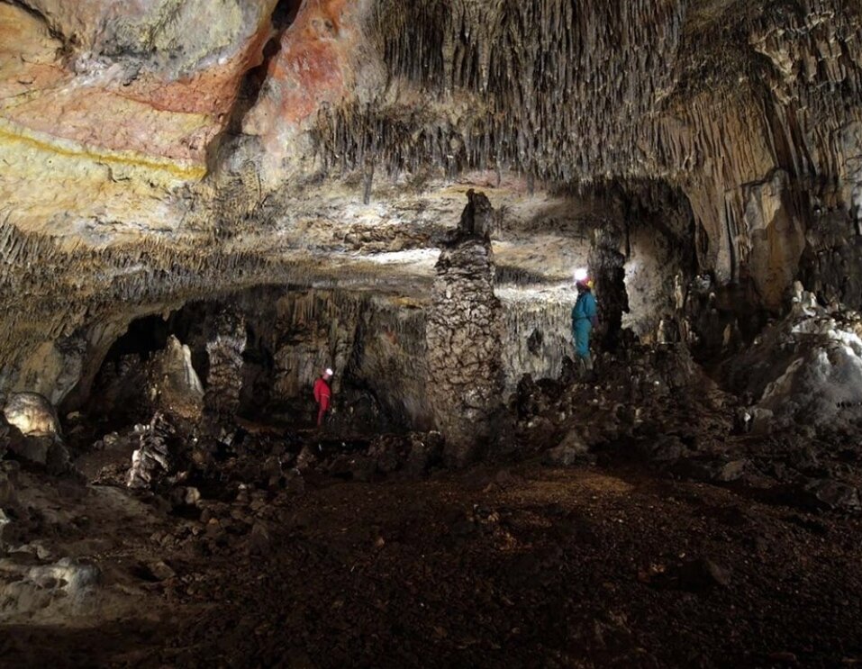 Recuperan ADN nuclear neandertal a partir del sedimento de una cueva de Atapuerca. 
