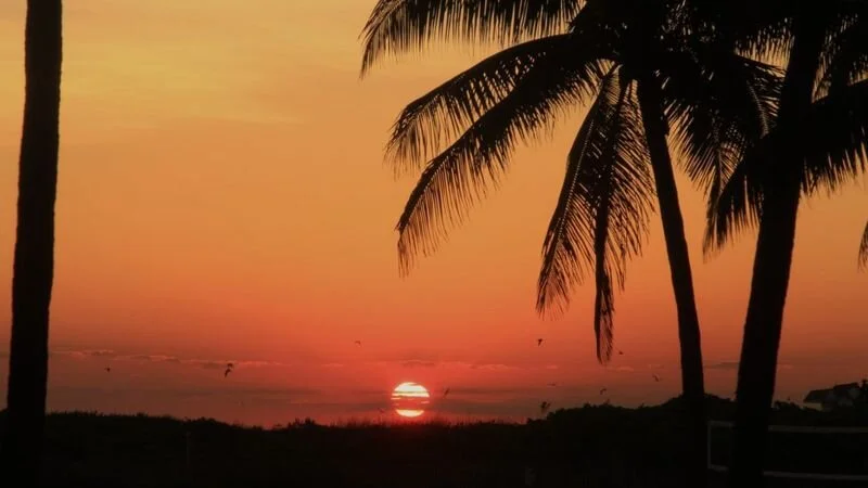 Calor extremo = asesino silencioso 