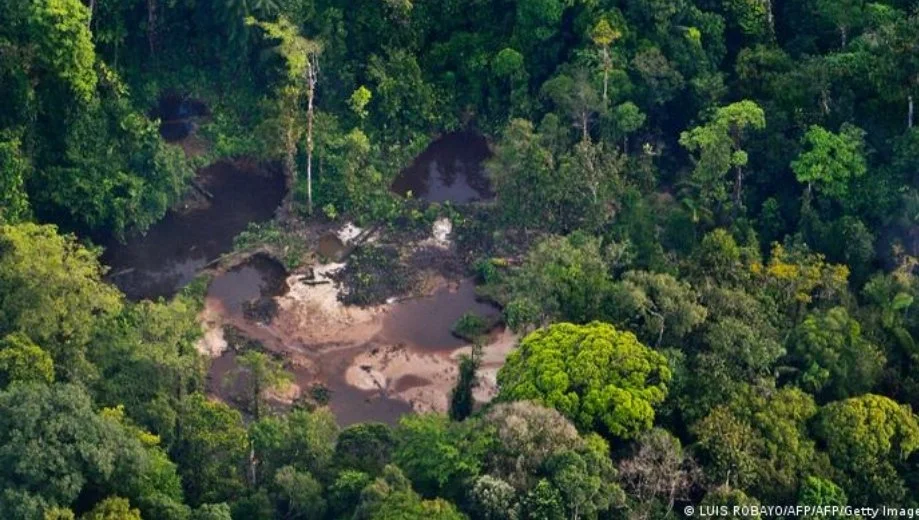 Colombia persigue los delitos ambientales pero no protege a sus ecologistas