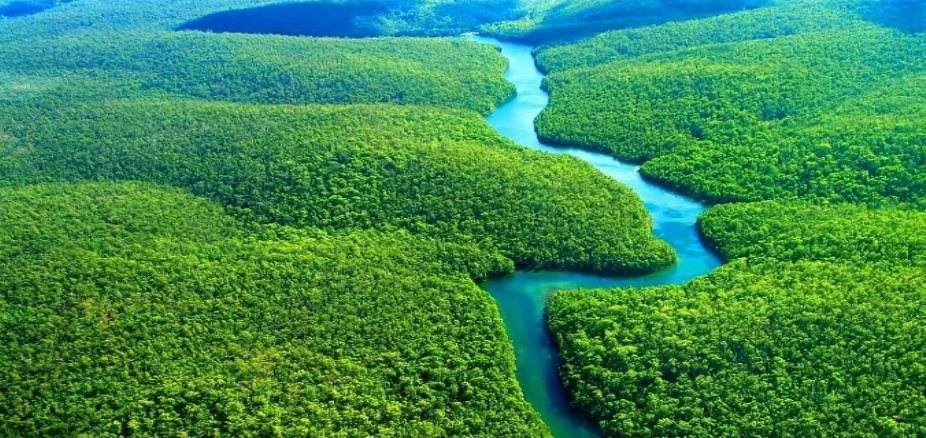 Naciones de todo el mundo lograron importantes acuerdos en la Conferencia de las Naciones Unidas sobre el Cambio Climático de 2021