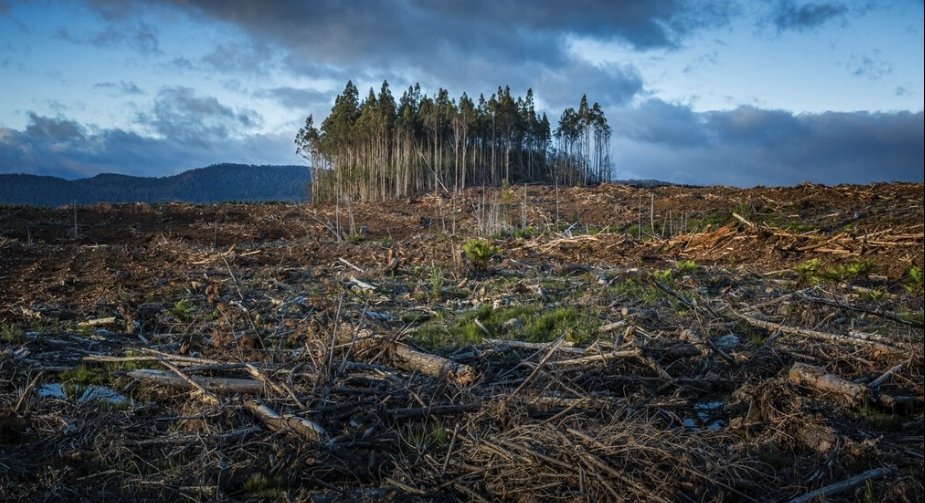 Lo prometido no es suficiente: los compromisos climáticos actuales elevarán la temperatura 2,4º C según un nuevo estudio.